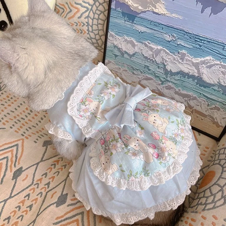 Pet Cute grembiule Dress Lace  - Lace Teddy Lingerie recensione e prezzo